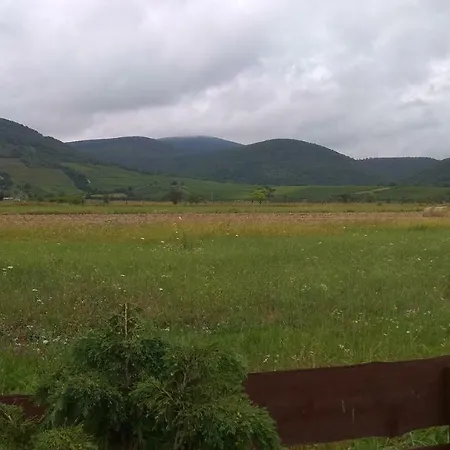 Гостевой дом Dom 3*